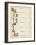 Contents Page, under the Window-Kate Greenaway-Framed Art Print