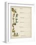 Contents Page, under the Window-Kate Greenaway-Framed Art Print