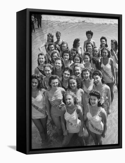 Contestants at the Atlantic City Beauty Contest-Peter Stackpole-Framed Stretched Canvas