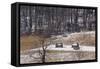 Continental Army Cabins Reconstructed at Valley Forge, Pennsylvania-null-Framed Stretched Canvas