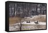 Continental Army Cabins Reconstructed at Valley Forge, Pennsylvania-null-Framed Stretched Canvas