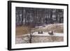 Continental Army Cabins Reconstructed at Valley Forge, Pennsylvania-null-Framed Photographic Print