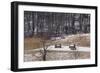 Continental Army Cabins Reconstructed at Valley Forge, Pennsylvania-null-Framed Photographic Print