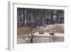 Continental Army Cabins Reconstructed at Valley Forge, Pennsylvania-null-Framed Photographic Print