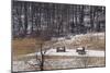Continental Army Cabins Reconstructed at Valley Forge, Pennsylvania-null-Mounted Photographic Print