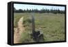 Continental Divide Trail in Cibola County, New Mexico-null-Framed Stretched Canvas