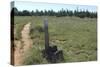 Continental Divide Trail in Cibola County, New Mexico-null-Stretched Canvas