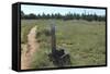 Continental Divide Trail in Cibola County, New Mexico-null-Framed Stretched Canvas