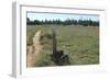 Continental Divide Trail in Cibola County, New Mexico-null-Framed Photographic Print