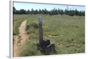 Continental Divide Trail in Cibola County, New Mexico-null-Framed Photographic Print