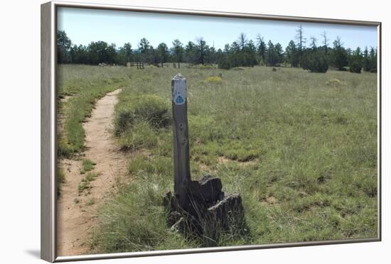 Continental Divide Trail in Cibola County, New Mexico-null-Framed Photographic Print