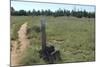 Continental Divide Trail in Cibola County, New Mexico-null-Mounted Photographic Print