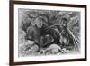 Continental Field Voles-null-Framed Art Print