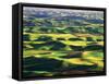 Contour Farming in Palouse Farm, Washington, USA-Adam Jones-Framed Stretched Canvas