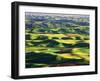 Contour Farming in Palouse Farm, Washington, USA-Adam Jones-Framed Premium Photographic Print