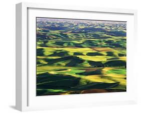 Contour Farming in Palouse Farm, Washington, USA-Adam Jones-Framed Premium Photographic Print