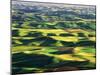 Contour Farming in Palouse Farm, Washington, USA-Adam Jones-Mounted Premium Photographic Print