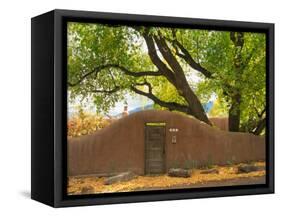 Contoured Adobe Wall, Santa Fe, New Mexico-Tom Haseltine-Framed Stretched Canvas