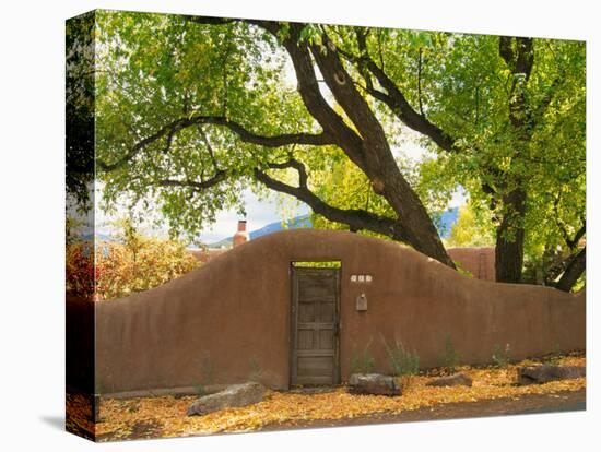 Contoured Adobe Wall, Santa Fe, New Mexico-Tom Haseltine-Stretched Canvas