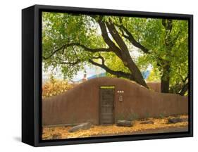 Contoured Adobe Wall, Santa Fe, New Mexico-Tom Haseltine-Framed Stretched Canvas