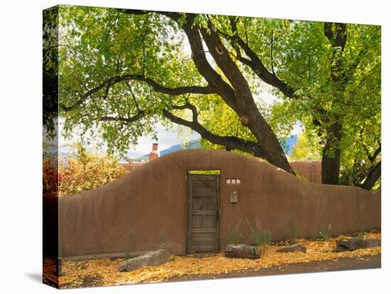 Contoured Adobe Wall, Santa Fe, New Mexico-Tom Haseltine-Stretched Canvas