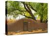 Contoured Adobe Wall, Santa Fe, New Mexico-Tom Haseltine-Stretched Canvas