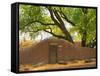 Contoured Adobe Wall, Santa Fe, New Mexico-Tom Haseltine-Framed Stretched Canvas