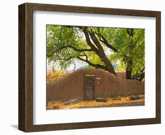 Contoured Adobe Wall, Santa Fe, New Mexico-Tom Haseltine-Framed Photographic Print