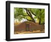 Contoured Adobe Wall, Santa Fe, New Mexico-Tom Haseltine-Framed Photographic Print