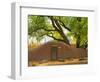 Contoured Adobe Wall, Santa Fe, New Mexico-Tom Haseltine-Framed Photographic Print