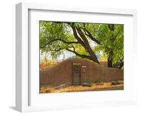 Contoured Adobe Wall, Santa Fe, New Mexico-Tom Haseltine-Framed Photographic Print