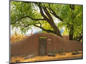 Contoured Adobe Wall, Santa Fe, New Mexico-Tom Haseltine-Mounted Photographic Print