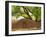 Contoured Adobe Wall, Santa Fe, New Mexico-Tom Haseltine-Framed Photographic Print