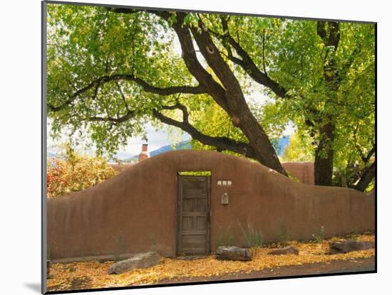 Contoured Adobe Wall, Santa Fe, New Mexico-Tom Haseltine-Mounted Photographic Print