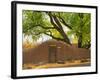 Contoured Adobe Wall, Santa Fe, New Mexico-Tom Haseltine-Framed Photographic Print