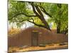 Contoured Adobe Wall, Santa Fe, New Mexico-Tom Haseltine-Mounted Photographic Print