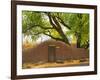 Contoured Adobe Wall, Santa Fe, New Mexico-Tom Haseltine-Framed Photographic Print