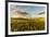 Contoured hills of wheat in late afternoon light, Palouse region of Eastern Washington State.-Adam Jones-Framed Photographic Print