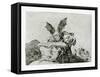 Contra El Bien General (Against the Common Goo), 1810-1820-Francisco de Goya-Framed Stretched Canvas