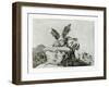 Contra El Bien General (Against the Common Goo), 1810-1820-Francisco de Goya-Framed Giclee Print