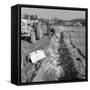 Contractors Setting Explosives in a Trench in Firbeck, Near Rotherham, 1962-Michael Walters-Framed Stretched Canvas