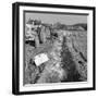 Contractors Setting Explosives in a Trench in Firbeck, Near Rotherham, 1962-Michael Walters-Framed Photographic Print