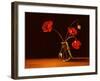 Contrast II-Heinz Scholnhammer-Framed Art Print