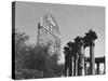 Contrast of Classical Columns with Pabst Blue Ribbon Electrical Sign-Walker Evans-Stretched Canvas