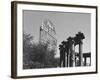 Contrast of Classical Columns with Pabst Blue Ribbon Electrical Sign-Walker Evans-Framed Photographic Print
