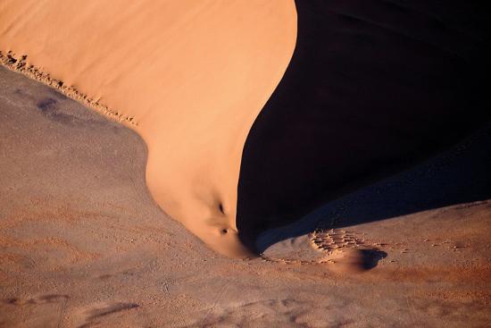 Photo, , large