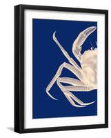 Contrasting Crab in Navy Blue a-Fab Funky-Framed Art Print