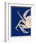 Contrasting Crab in Navy Blue a-Fab Funky-Framed Art Print