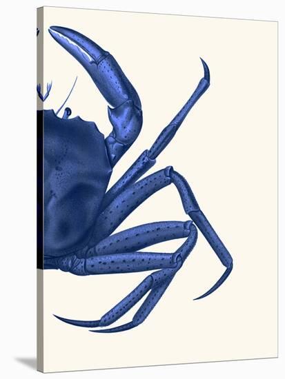 Contrasting Crab in Navy Blue b-Fab Funky-Stretched Canvas