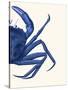 Contrasting Crab in Navy Blue b-Fab Funky-Stretched Canvas